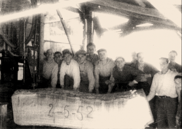 Fase di lavorazione del 1952, segatronchi